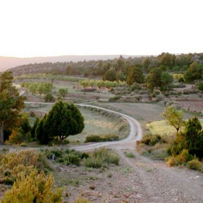 La Antigua: apasionados del entorno rural